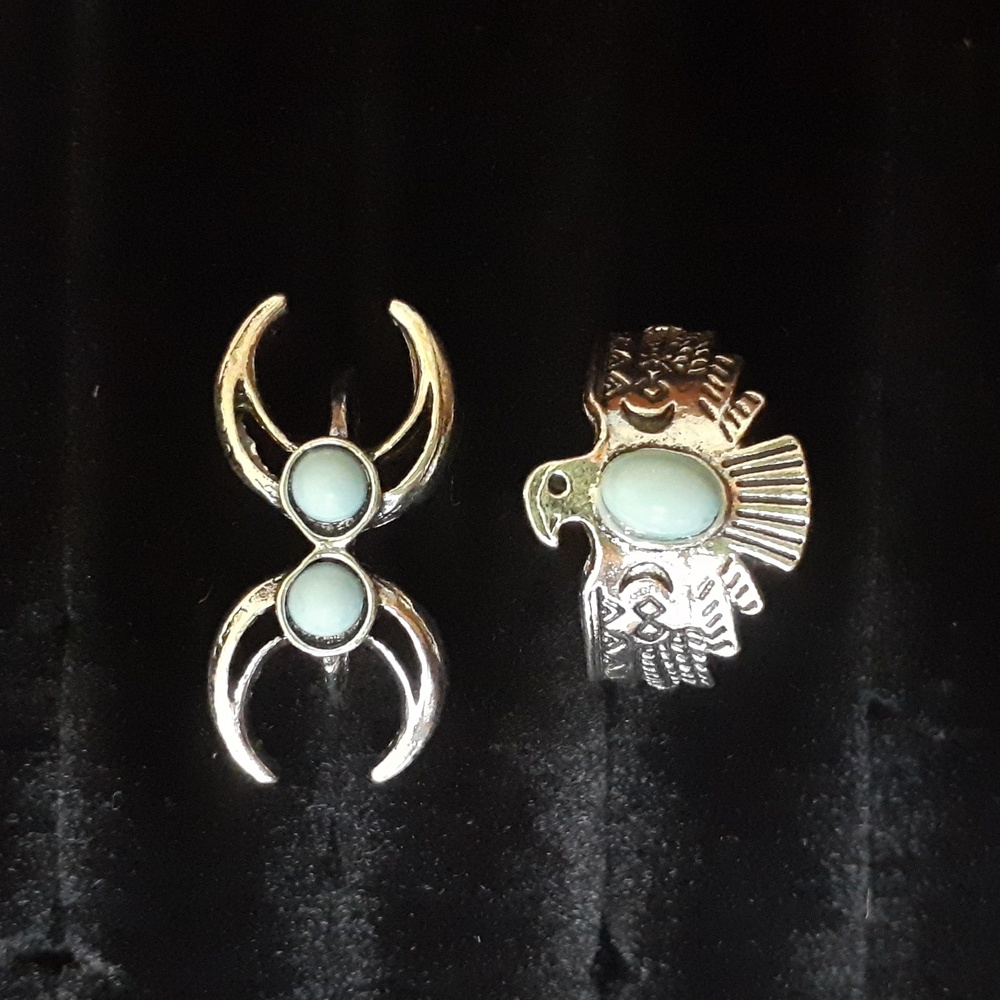 Crescent Moons and Native Bird 2 Piece Ring Set